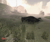 415_canal_beta1