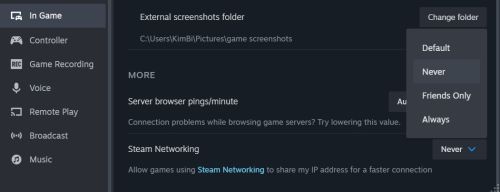 steamnetwoking options