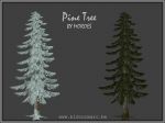 thumb_PineTree_moroes