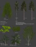 thumb_folagepack4_berghoff
